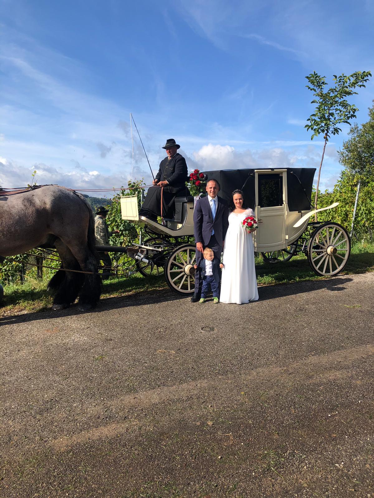 Planwagenfahrten Sartorius