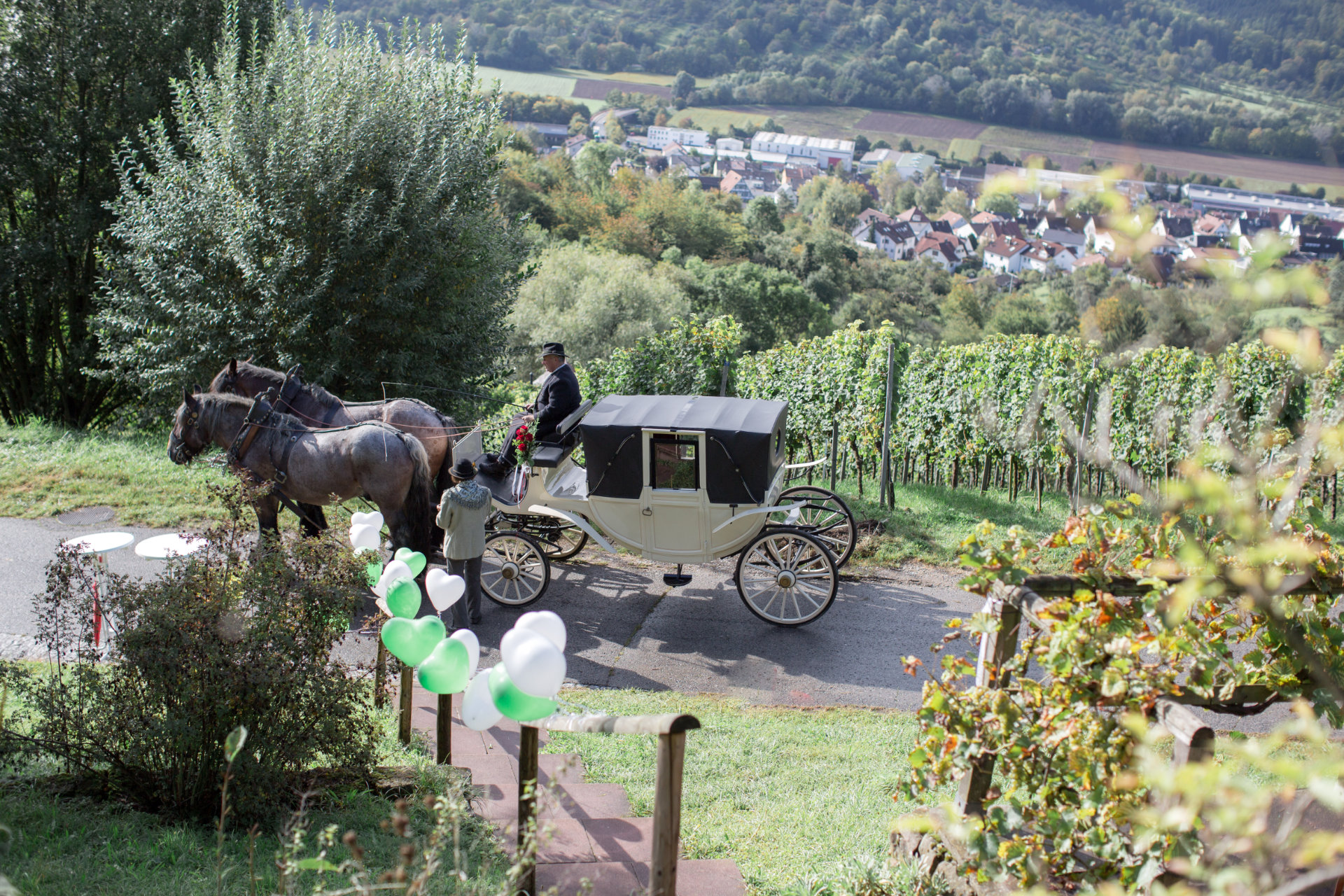 Planwagenfahrten Sartorius